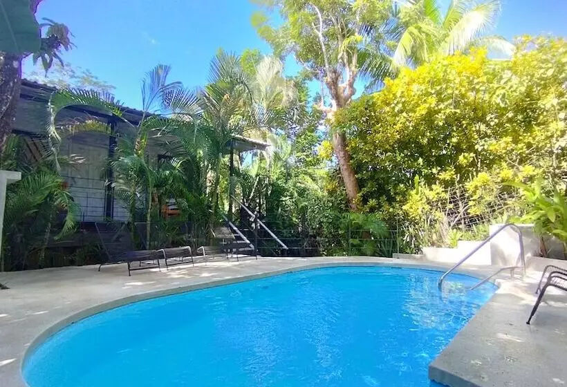 Raratonga Hotel &  Apartments