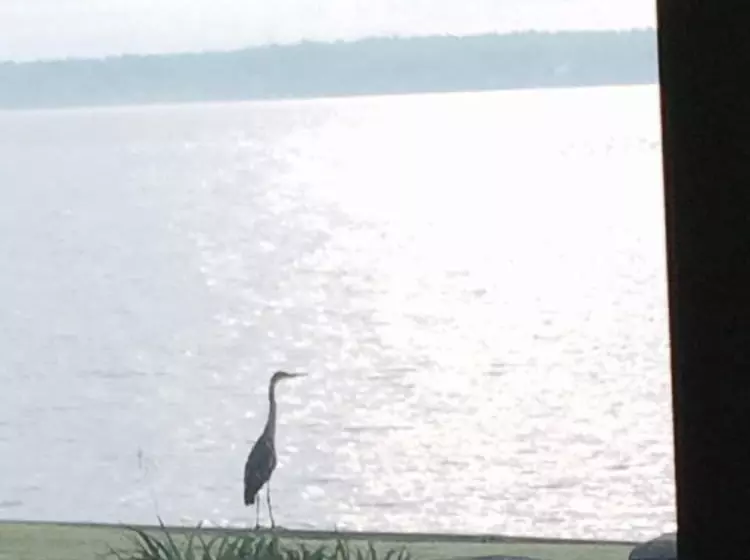 Waters Edge B&b Resort