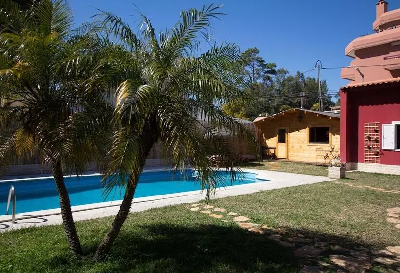 7 Waves Surf Hostel