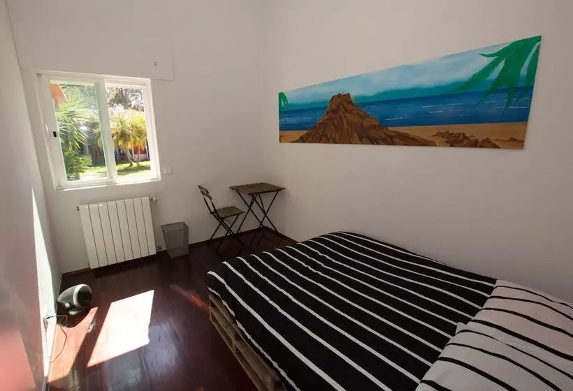 7 Waves Surf Hostel