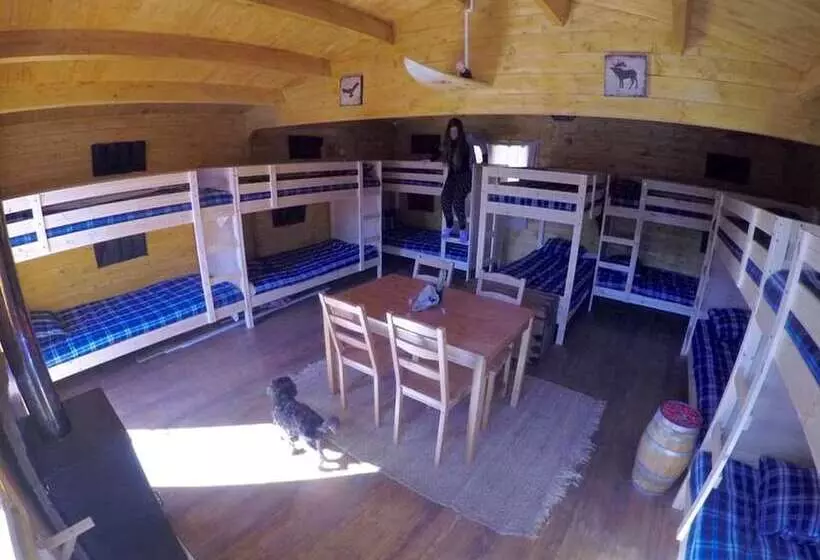 7 Waves Surf Hostel