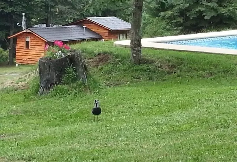 Cabaña Fau Wualmapu