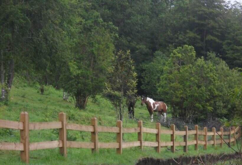 Cabaña Fau Wualmapu