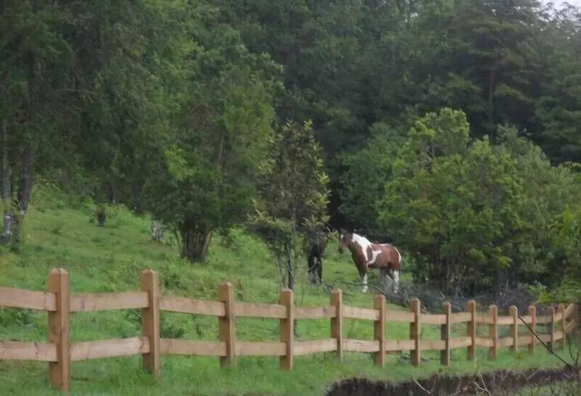 Cabaña Fau Wualmapu