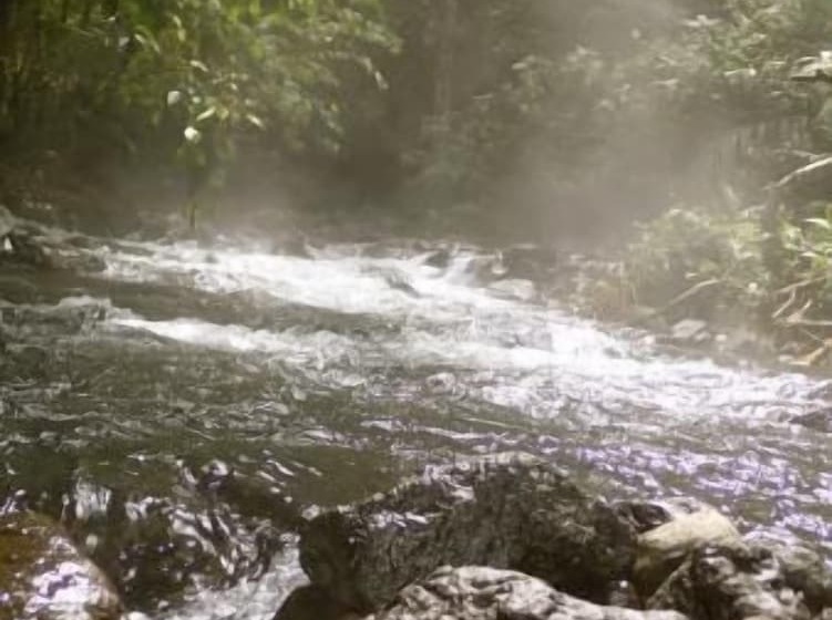 Hostel Arenal Sunrise