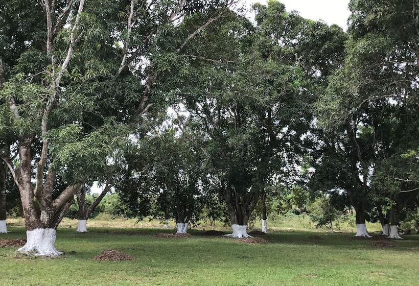 בית מלון כפרי Campestre San Manuel