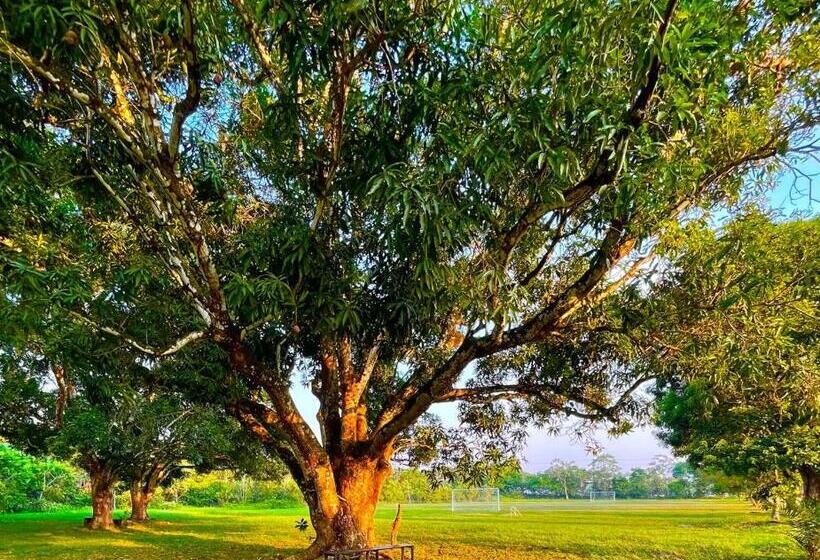 בית מלון כפרי Campestre San Manuel