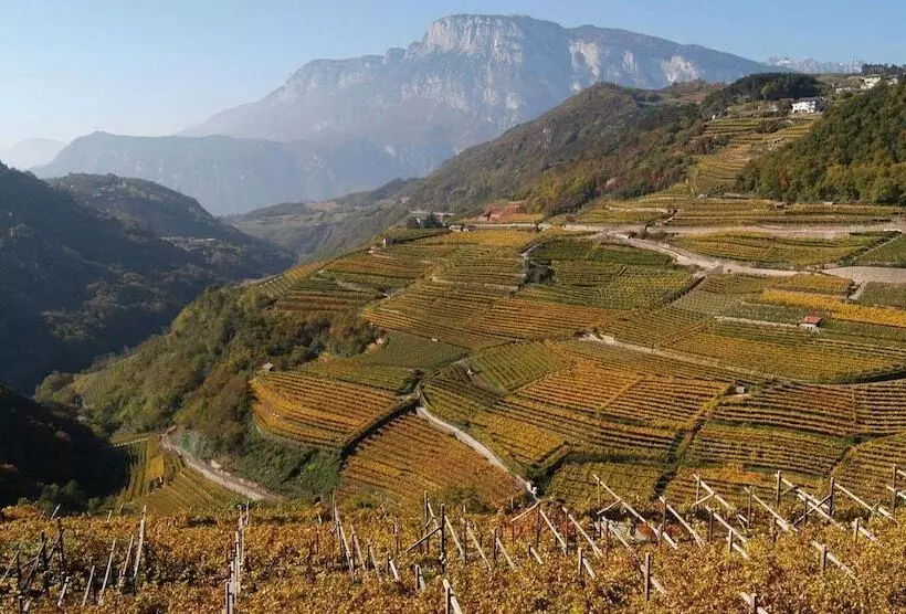 ホテル Fior Di Bosco