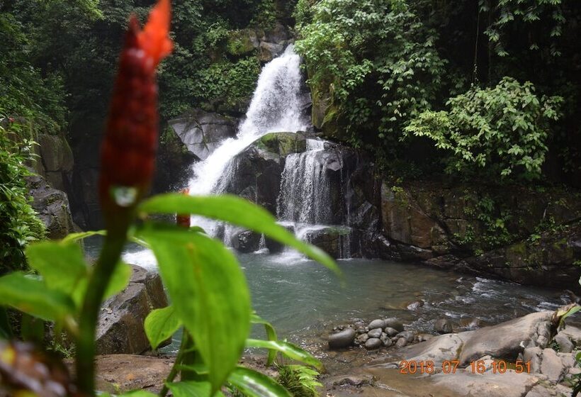 호텔 La Ceiba Ecoadventures