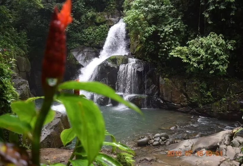 Hotelli La Ceiba Ecoadventures