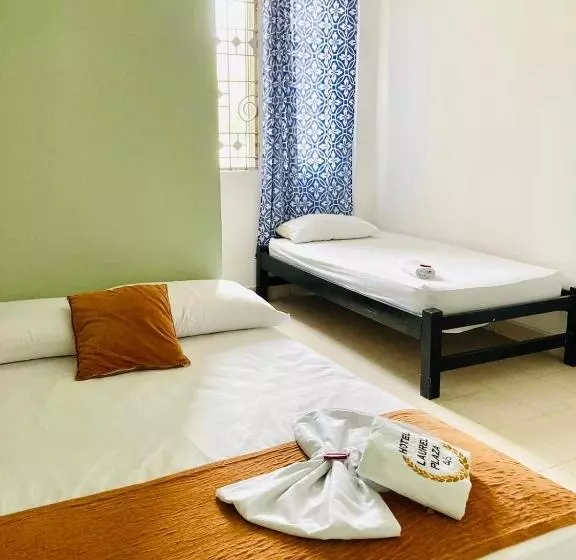 Hotelli Laurel Plaza 46