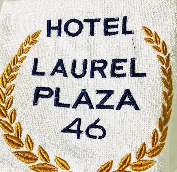 ホテル Laurel Plaza 46