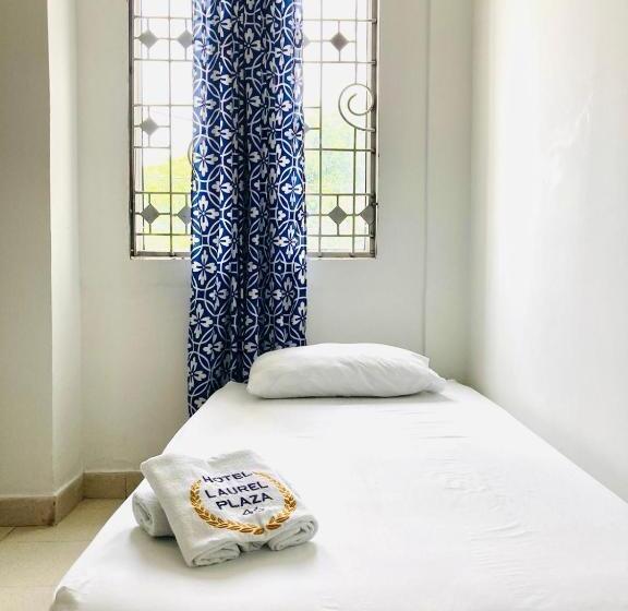 ホテル Laurel Plaza 46