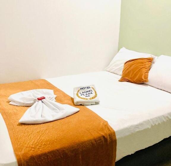 ホテル Laurel Plaza 46