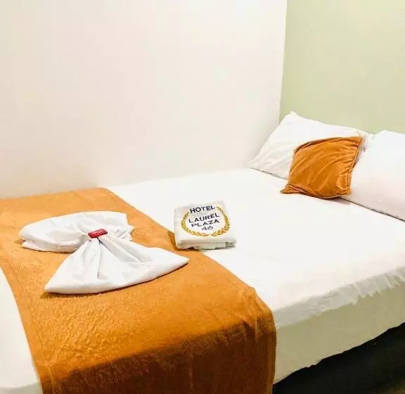 Hotelli Laurel Plaza 46