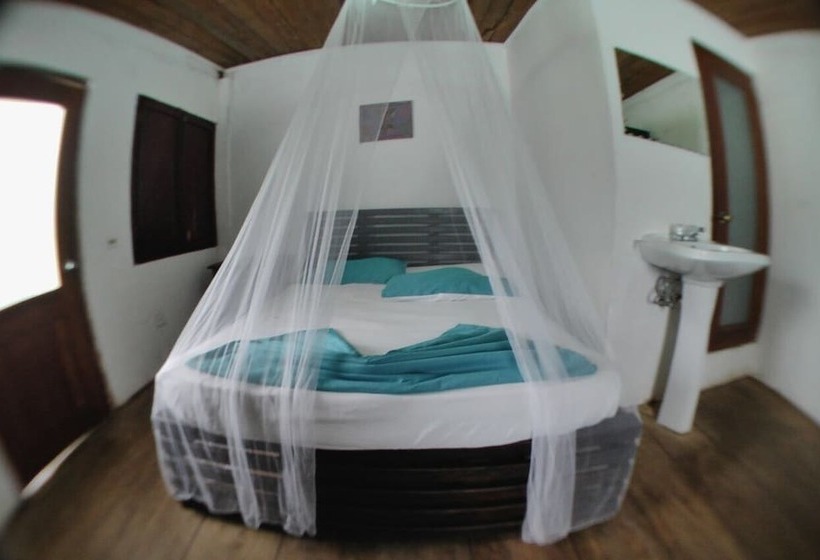 فندق Sister Moon