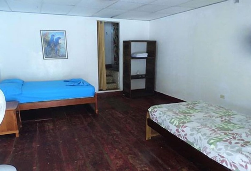 فندق Sister Moon