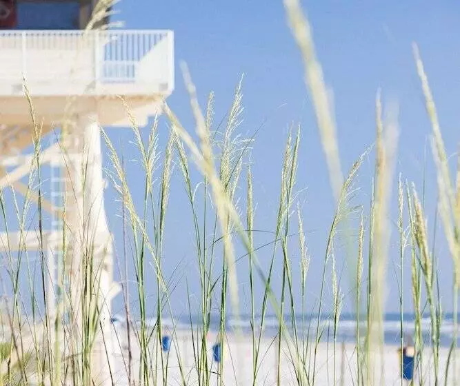 Hotelli The Salty Mermaid Oceanfront