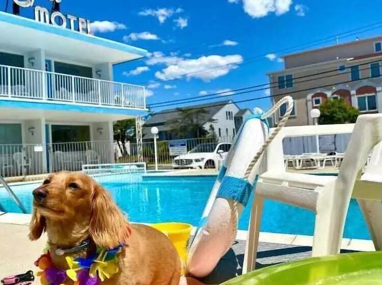 Isle Of Capri Motel