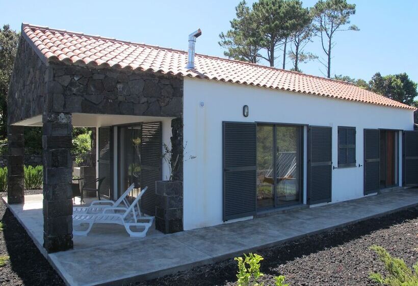 Relaxinpico   Villa 4 Seasons