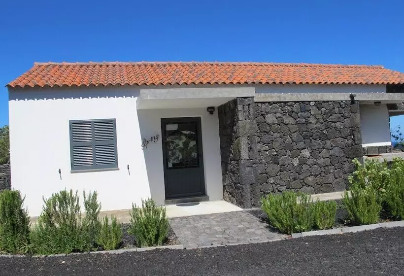 Relaxinpico   Villa 4 Seasons