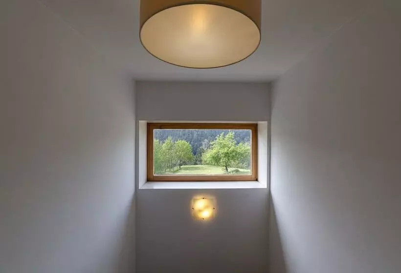 Tapada De São Domingos