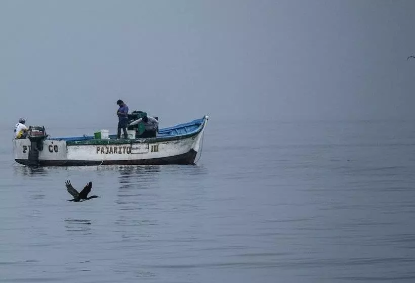 Apartamento Frente Islas Ballestas