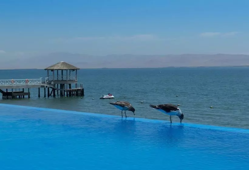 Apartamento Frente Islas Ballestas