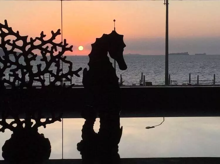 Apartamento Frente Islas Ballestas