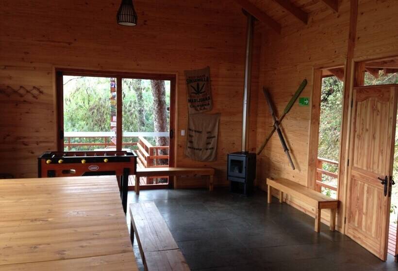 Cabañas Borgolafquen