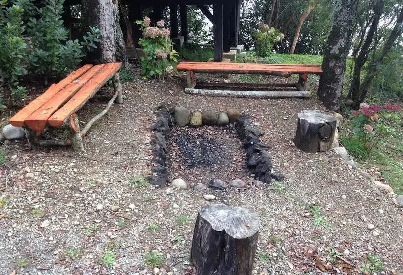 Cabañas Borgolafquen