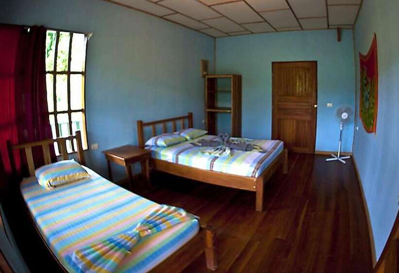 Hakuna Matata Drake Bay Hostel