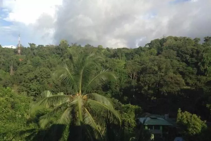 Hakuna Matata Drake Bay Hostel