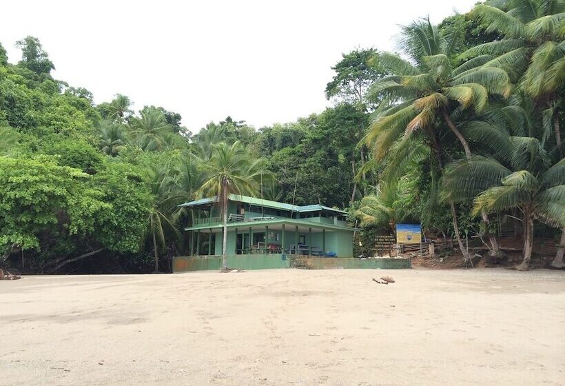 Hakuna Matata Drake Bay Hostel