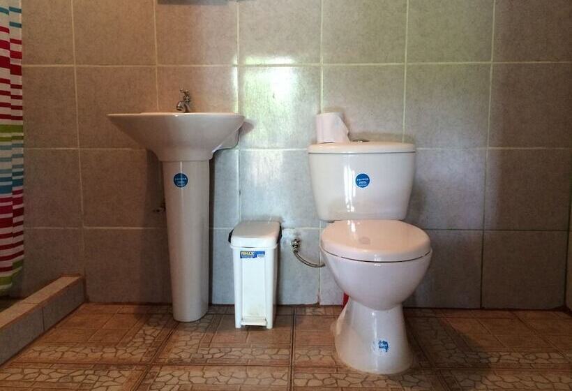 Hakuna Matata Drake Bay Hostel