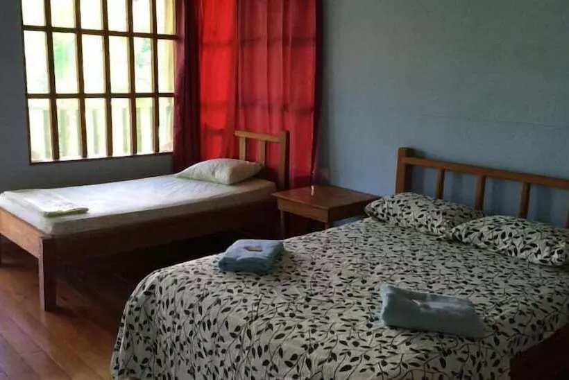 Hakuna Matata Drake Bay Hostel