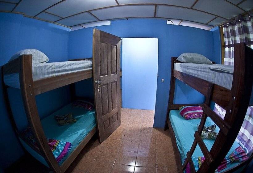 Hakuna Matata Drake Bay Hostel