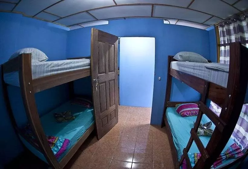 Hakuna Matata Drake Bay Hostel
