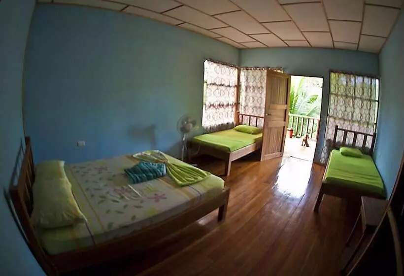 Hakuna Matata Drake Bay Hostel