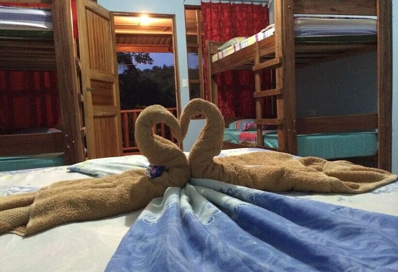 Hakuna Matata Drake Bay Hostel