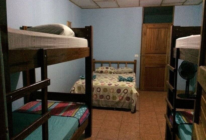 Hakuna Matata Drake Bay Hostel