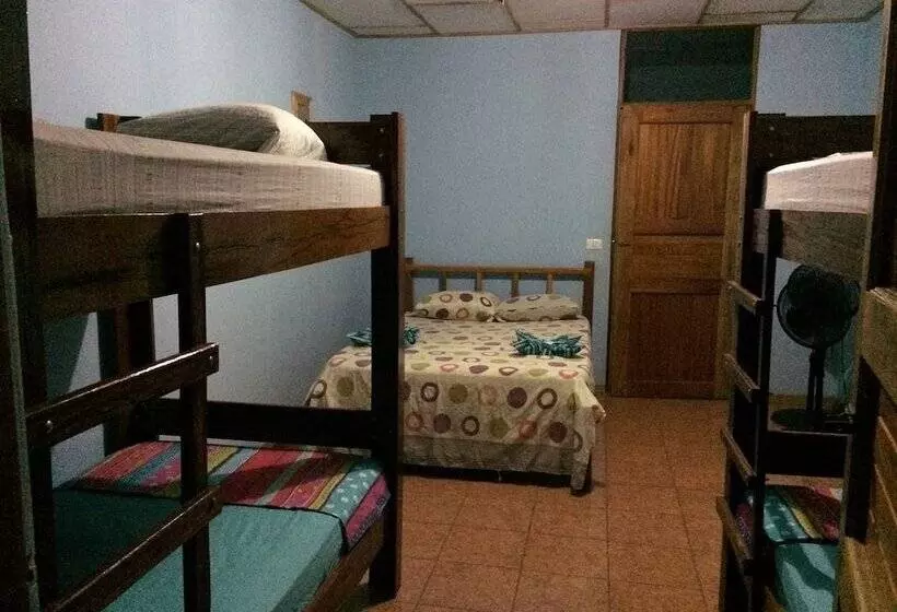 Hakuna Matata Drake Bay Hostel