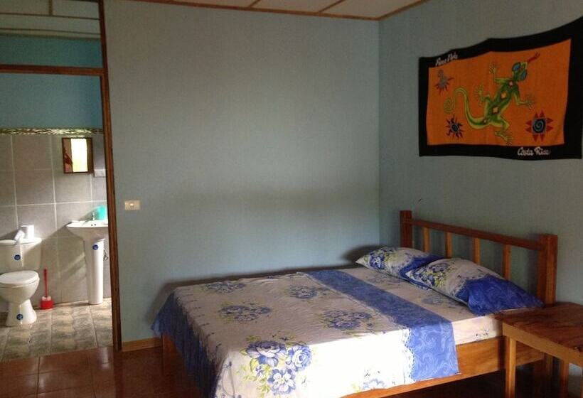 Hakuna Matata Drake Bay Hostel