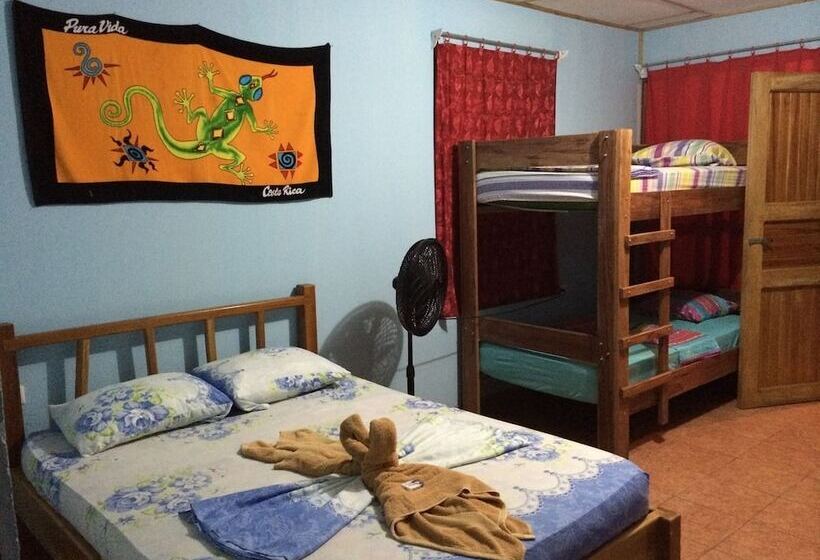 Hakuna Matata Drake Bay Hostel