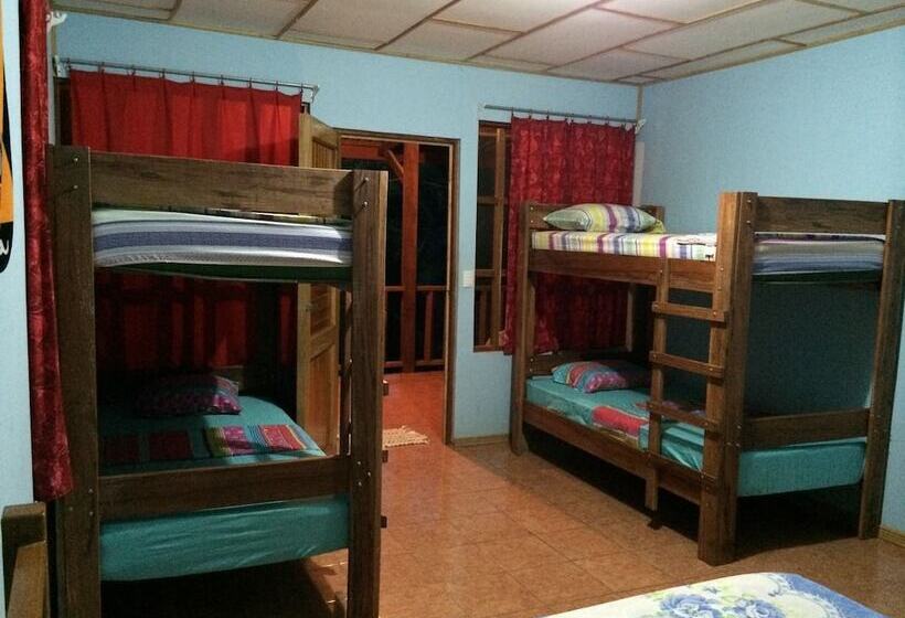 Hakuna Matata Drake Bay Hostel