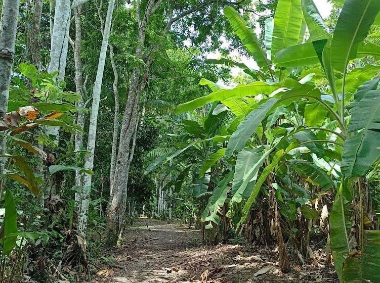 هتل Avatar Amazon Lodge & Canopy Park