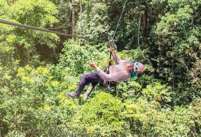 ホテル Avatar Amazon Lodge & Canopy Park