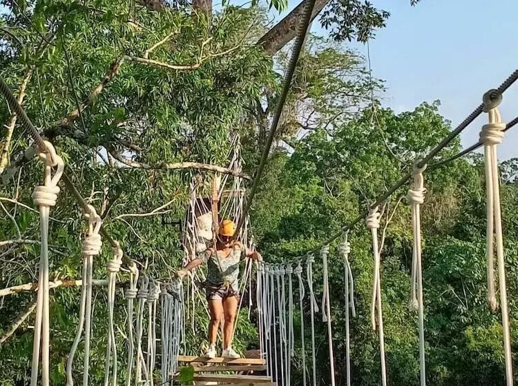 ホテル Avatar Amazon Lodge & Canopy Park