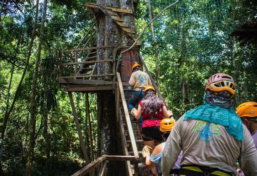 ホテル Avatar Amazon Lodge & Canopy Park