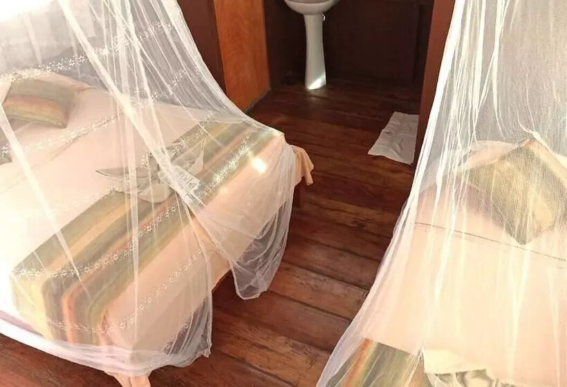 ホテル Avatar Amazon Lodge & Canopy Park